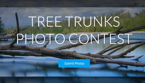 Weekly Contest: Win a Woodsnap Photo Collage Worth $1000