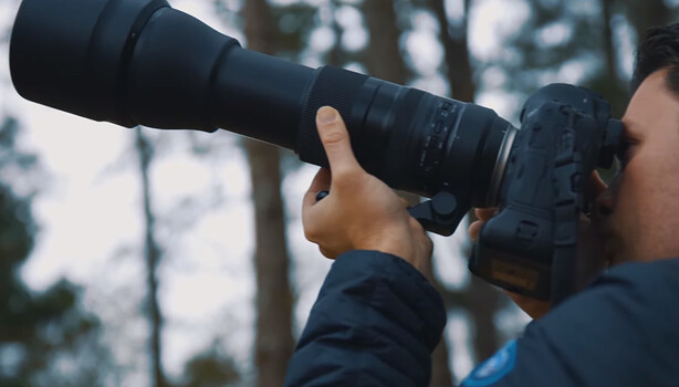 A Review of the Tamron SP 150-600mm f/5-6.3 Di VC USD G2 Lens