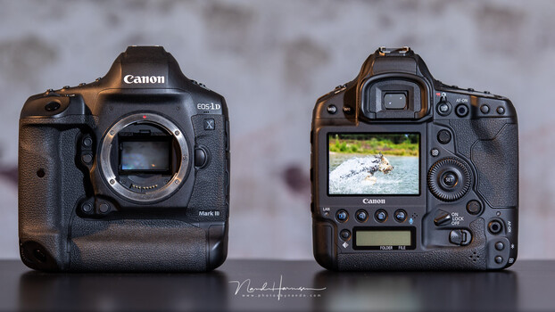 Canon EOS 1Ds mark Ⅲ フルセット Amazon.com : Canon EOS 1Ds Mark III DSLR Camera (Body Only) (Old
