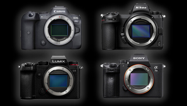 Canon R6, Sony a7 III, Nikon Z 6II, and Panasonic S5: Which Is