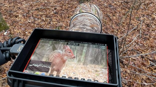 Reviewed: Atomos Ninja V on Sony a7S III | Fstoppers
