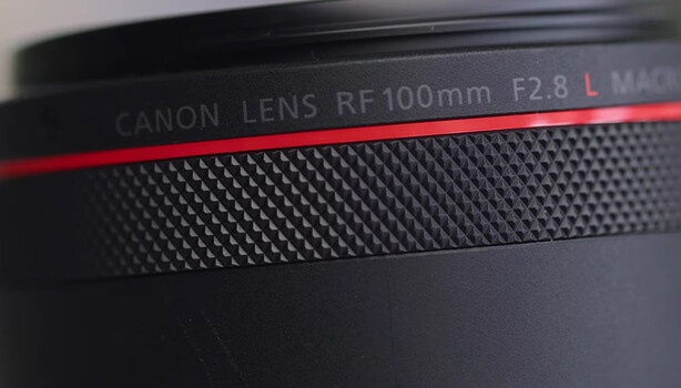 Is It Worth Upgrading to the New Canon RF 100mm f/2.8L Macro IS