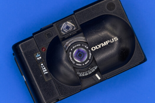 img-7d4a2812.jpg?itok=B_c0EWBX