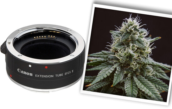 Extension Tubes: They May Save You From Spending Thousands | Fstoppers