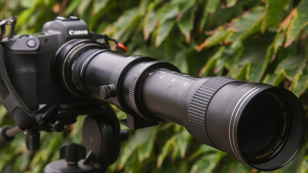 We Review Amazon's Cheapest Super-Zoom Lens: JINTU 420-800mm f/8.3