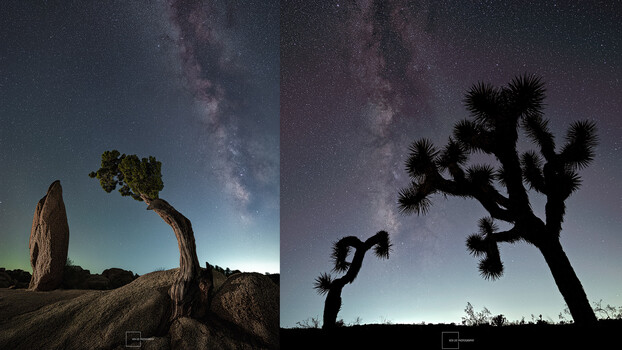 header-pentax-star_af-
