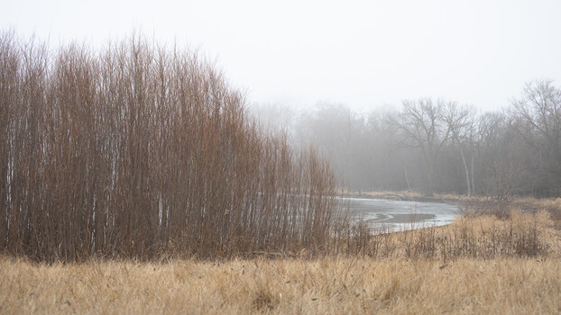 Writing Enhances Photography Skills and Creative Vision