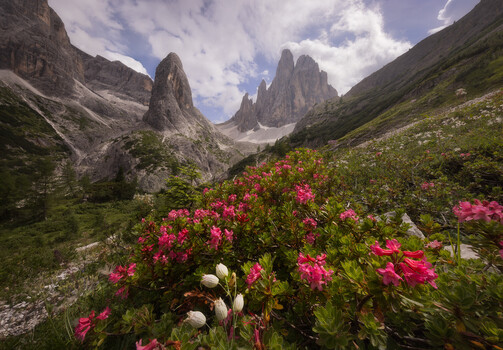 Erin Babnik on Canon Gear