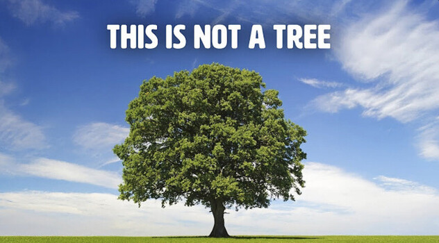 Learn to Stop Looking and Start Seeing