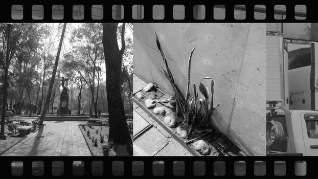 Square Frame Enhances Street Photography Composition