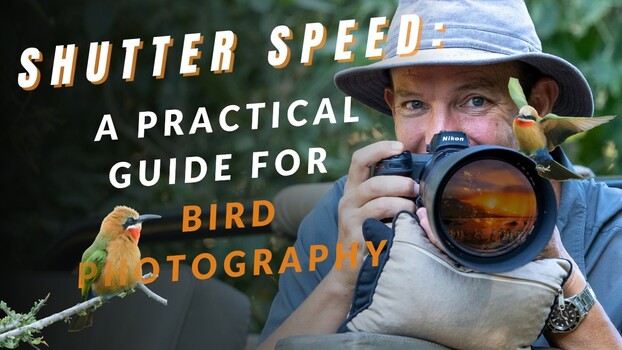 Slower shutter speeds unlock creative bird photography most shooters ignore