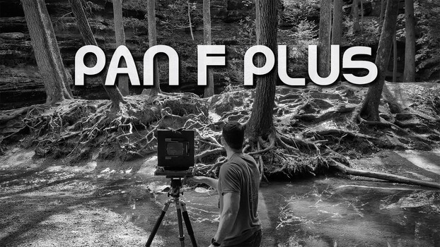 Ilford Pan F Plus Now Available in Large Format Sheet Film