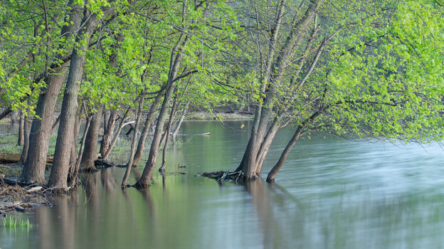 The Problem With Planning in Landscape Photography