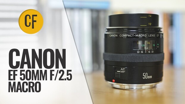 A 40-Year-Old Lens Reviewed