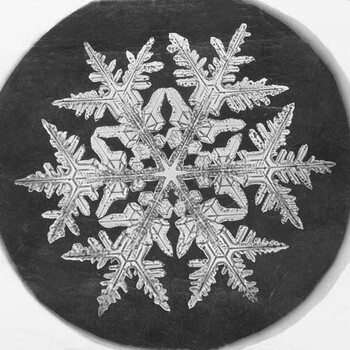 How the First Photograph of a Snowflake Took a Vermont Farmer 46 Years