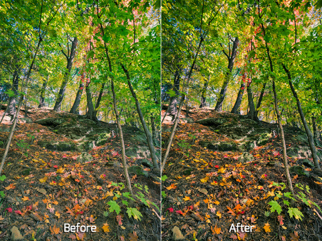 Before and After Using the Bleach Bypass Filter