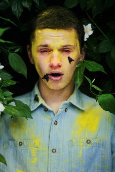 man, leaves, bees