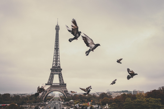 Fujifilm X-T2 with Fujifilm 23mm F2 WR (1/250 second, F5, ISO 200) Eifel Tower in Paris