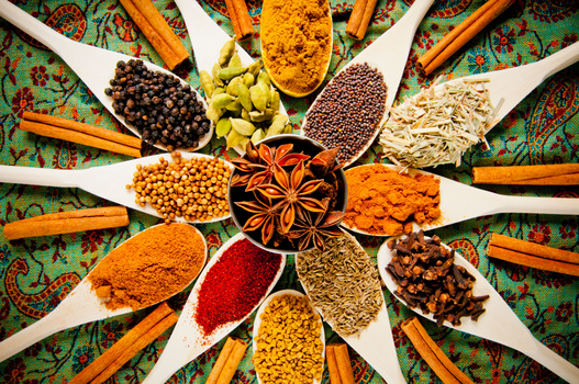 Spice Photo by Stephen Ironside / Ironside Photography