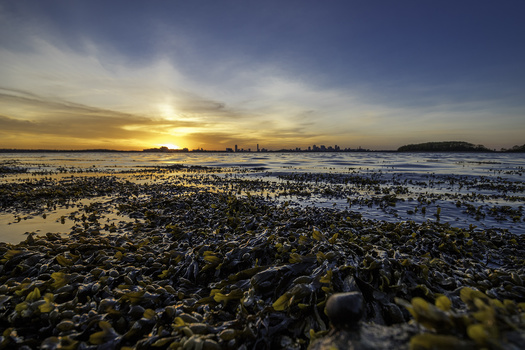 Fstoppers Reviews The Tamron 10 24mm F 3 5 4 5 Di Ii Vc Hld Lens Fstoppers