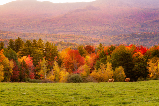 Three Tips for Photographing Fall Colors | Fstoppers