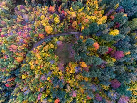 Three Tips for Photographing Fall Colors | Fstoppers