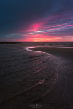 Seascape with seagulls hunting for food in the last magenta moments at dusk