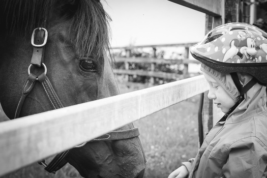 Aisling inspecting her steed. black and white photograph of a child and a horse.. photo of little girl and pony. monochrome image of young child and thoroughbred horse.