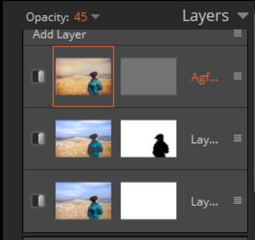 layer panel. photo editing software