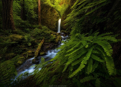 Colombia River Gorge joshua-snow-landscape-photographer