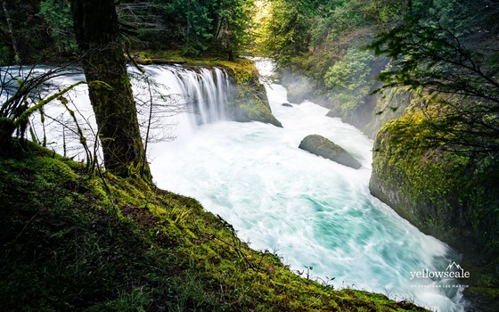 Washington's hidden Spirit Falls, just north of the Columbia River Gorge. Washington's hidden Spirit Falls, just north of the Columbia River Gorge.