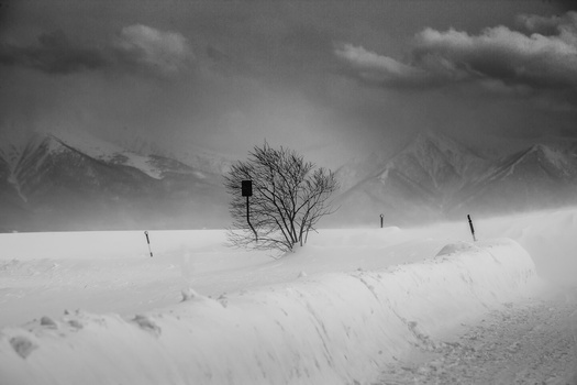 White Silence snowscapes, winter, landscape