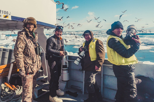 Sea Eagles Cruise sea eagles, winter, snow, ice, cruide, wildlife