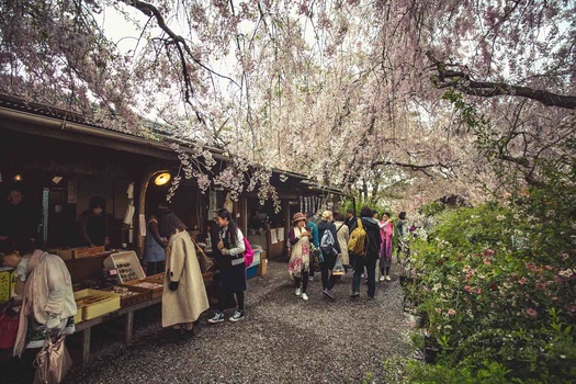 Haratanien Blossom Garden Haratanien Blossom Garden