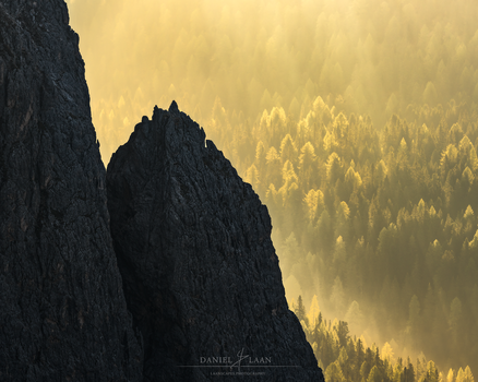 Mountains and golden sunlit woods, shot with a long tele lens in the Dolomites by Daniel Laan.