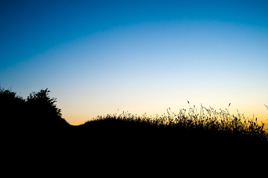 Are the colors more evocative than the silhouette?