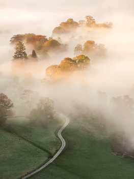 Getting in close can simplify the composition Photo of morning mist