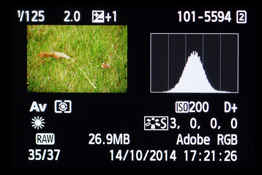 This image has a typical histogram. It has the theoretical perfect shape. Fortunately most histograms have different shapes. Reality learns us there is no perfect shape that fits all photographs