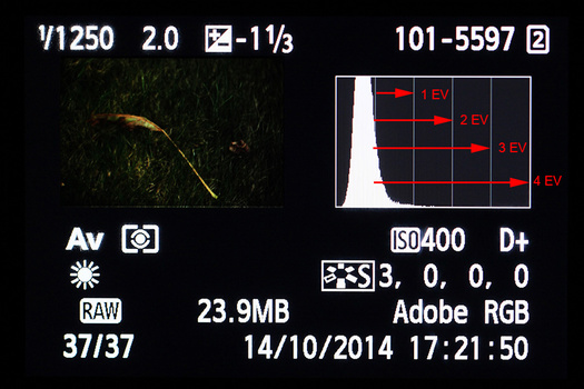 An underexposed image for illustration purposes. The lines in the histogram stands for the amount of stops. It is possible to determine how much stops the exposure needs to be corrected.