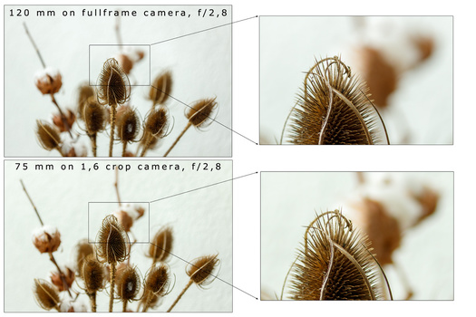 If you want to have the same field of view as a full frame sensor you need to decrease the focal length with the crop sensor. Distance to the subject and aperture is kept the same. The depth of field is now larger with the crop sensor.
