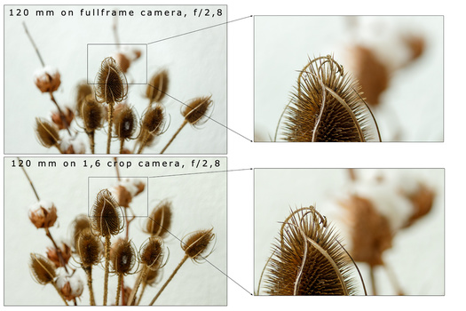 Instead of decreasing focal length, you can also increase the distance to the subject to achieve the same picture. Aperture and focal length are kept the same. As you can see the depth of field is increased with the crop sensor