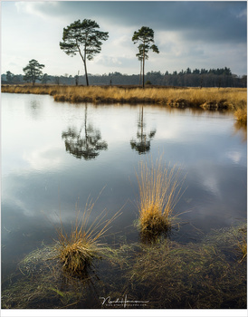 Due to the larger sensor size I could not get the depth of field I wanted - the trees are out of focus. When I would have used a smaller sensor size I could use a shorter focal length to acquire the same viewing angle, thus increasing depth of field. (Has