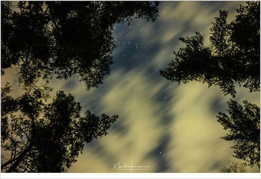 Discovering its becoming real cloudy after half an hour drive. It was quite frustrating when I watched the stars disappear. I waited a bit, took a few photos but gathered my cameras with disappointment and went home. (Nikon Z7 + 24-70/4 @ 24mm | ISO6400 |