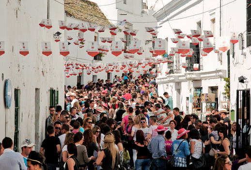 Crowds Crowds
