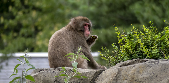 What Are The Best Cameras For Parents Fstoppers