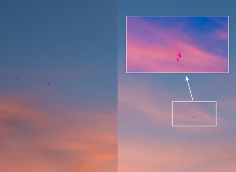 The two rectangles in details with a high contrast inset of the laser burns. It is possible to remove this in Photoshop, but it needs to be done with every photo taken. This has to be repaired and repair means a new sensor.