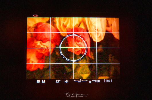 With exposure simulation we see what the effect of shutterspeed, aperture and ISO has on the image. If the image is underexposed, the EVF will become proportionally darker. This does not happen in an optical viewfinder. The image shows the EVF of a Nikon