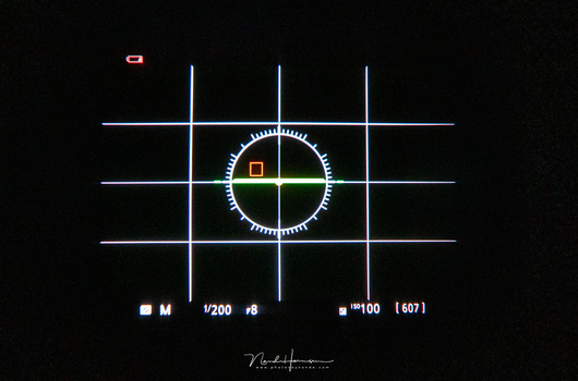 When the camera is set to 1/200 of a shutterspeed that is the flash sync, with exposure simulation the EVF will not show the ambient light. This way it is virtually impossible to make a composition. This image is shot right through the EVF of a Nikon Z7