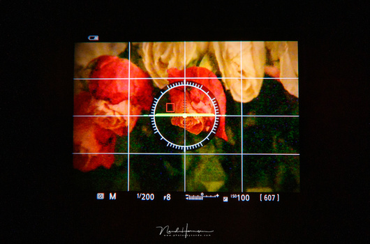 After the exposure simulation is turned off, you can see the thing you are photographing again. But be aware, with this setting a wrong exposure won't be visible in the EVF anymore.