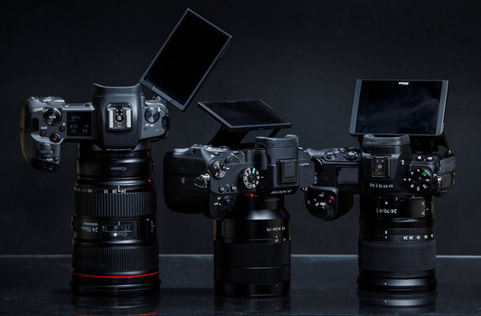 This shows the limitations of the LCD screens. The Nikon and Sony can only tilt, the Canon can move in any direction.